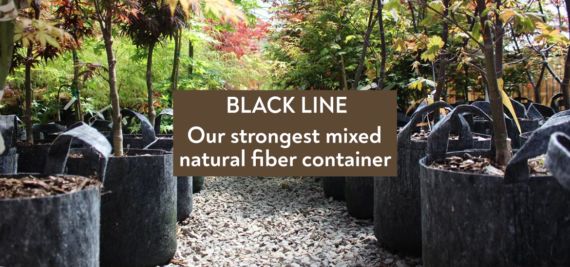 Black Line strongest mixed natural fiber container