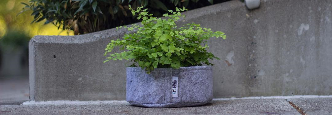 Fabric plant pots