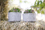 Root Pouch Grey fabric pot 29x36cm 22L with handles 350 units