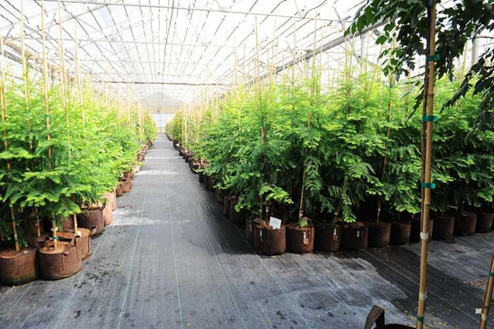 Multipack Root Pouch Boxer fabric pot 15x19 3,8L brown 25 units