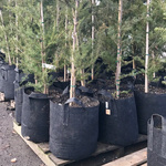 Growbag Root Pouch fabric pot 28x26cm 16L black 580 units