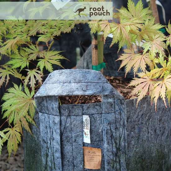 Root Pouch Grey fabric pot 28x26cm 16L 580 units