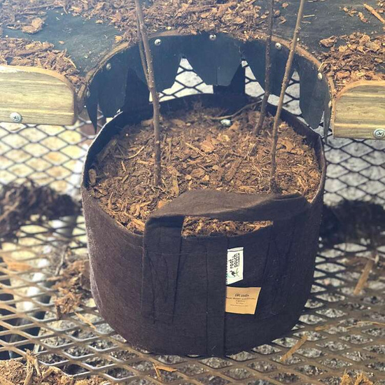 Root Pouch Boxer fabric pot 50x40cm 78L with handles brown 200 units