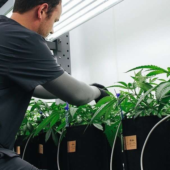 Multipack Root Pouch Thin Black fabric pot 10x13cm 1L 50 units