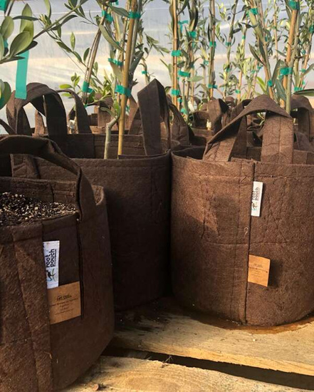 Multipack Root Pouch fabric pot 35x30cm 30L with handles brown 10 units