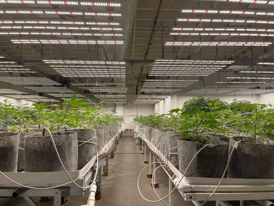 Multipack Root Pouch Grey fabric pot 43x38cm 56L with handles 10 units