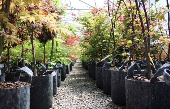 Growbag Root Pouch fabric pot 28x26cm 16L black 580 units