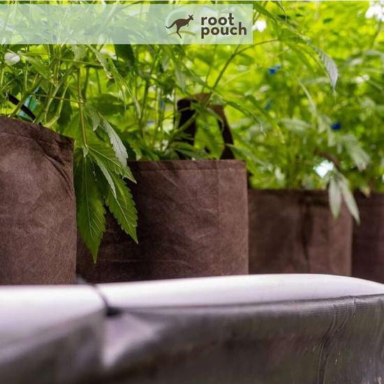 Root Pouch Boxer fabric pot 25,5x21,5cm 12L brown 750 units