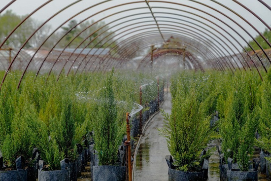 Multipack Root Pouch Grey fabric pot 40x30cm 39L with handles 10 units