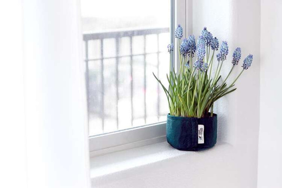 Root Pouch Boxer fabric pot 35x30cm 30L with handles forest green 350 units