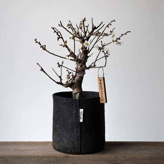 Root Pouch fabric pot 43x38cm 56L with a handle black 250 units