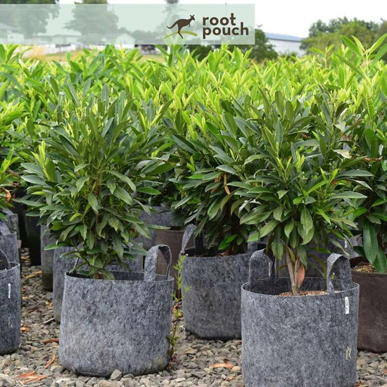 Root Pouch Grey fabric pot 21x21cm 8L 1000 units