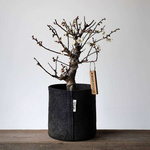 Growbag Root Pouch fabric pot 43x38cm 56L with handles black 