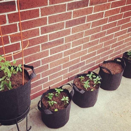 Growbag Root Pouch fabric pot 28x26cm 16L black 580 units