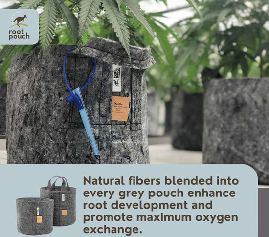 Root Pouch Grey fabric pot 29x36cm 22L with handles 350 units