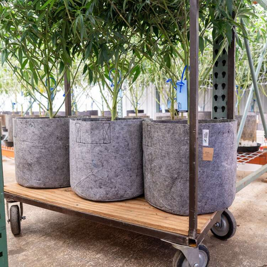 Root Pouch Grey fabric pot 40x30cm 39L with handles 300 units