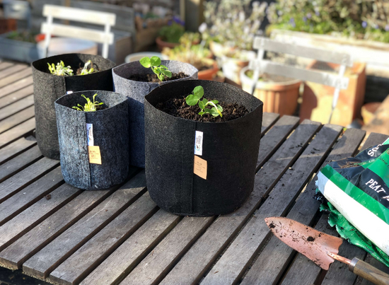 Growbag Root Pouch fabric pot 28x26cm 16L black 580 units