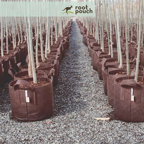 Multipack Root Pouch Boxer fabric pot 38x40cm 45L with handles brown 10 units